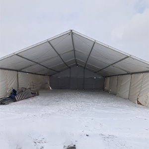 Mega Frame Clear Tent Kingston